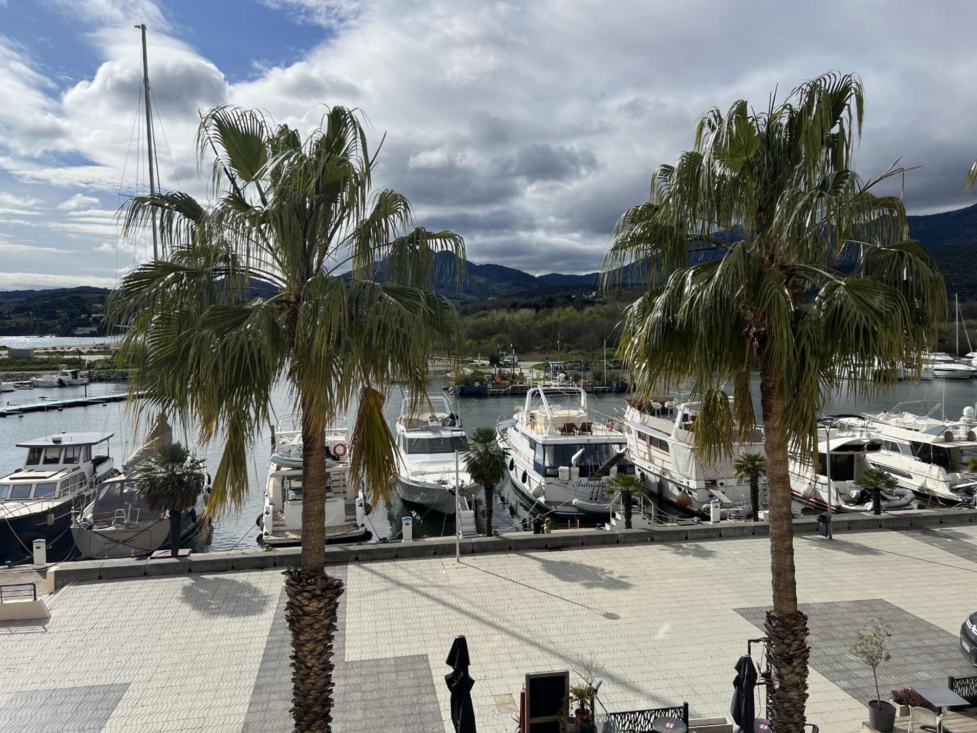 Argeles Sur Mer - Appartement 6 Pers Avec Terrasse Et Parking - Fr-1-309-375 Dış mekan fotoğraf